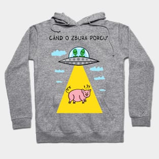 Cand o zbura porcul Hoodie